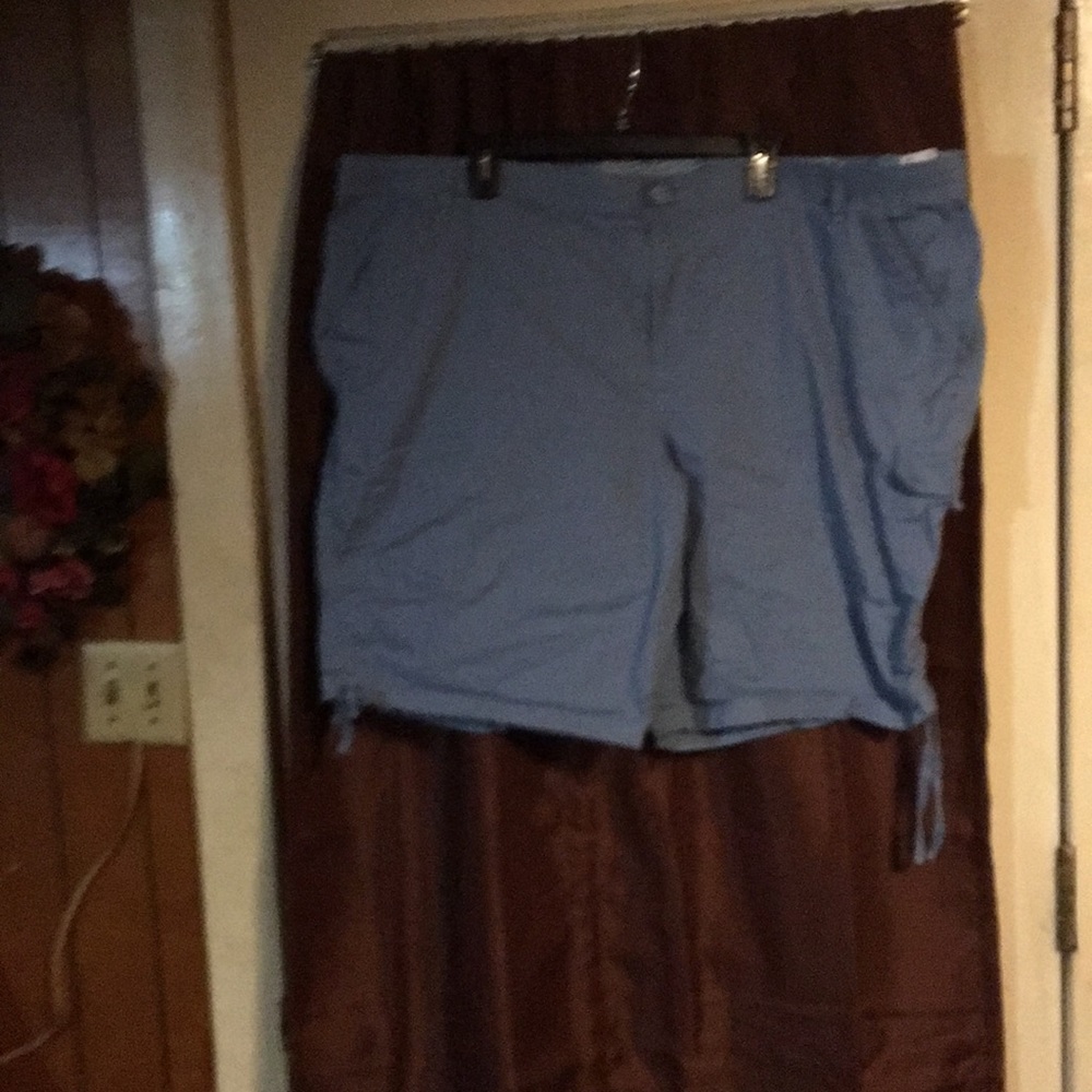 Gloria Vanderbilt shorts